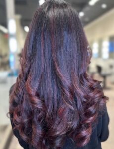 hair color services in winter park hair